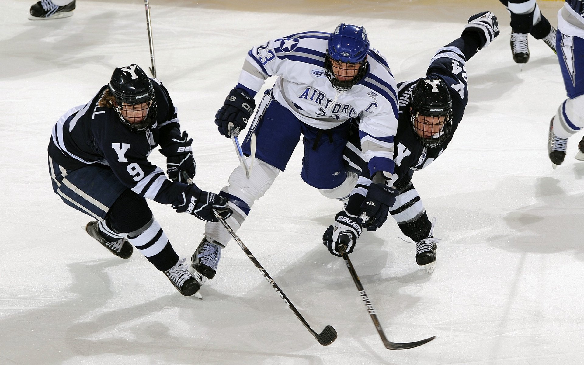 “秋分昼夜等长跑” 同时组织日出与日落两场活动